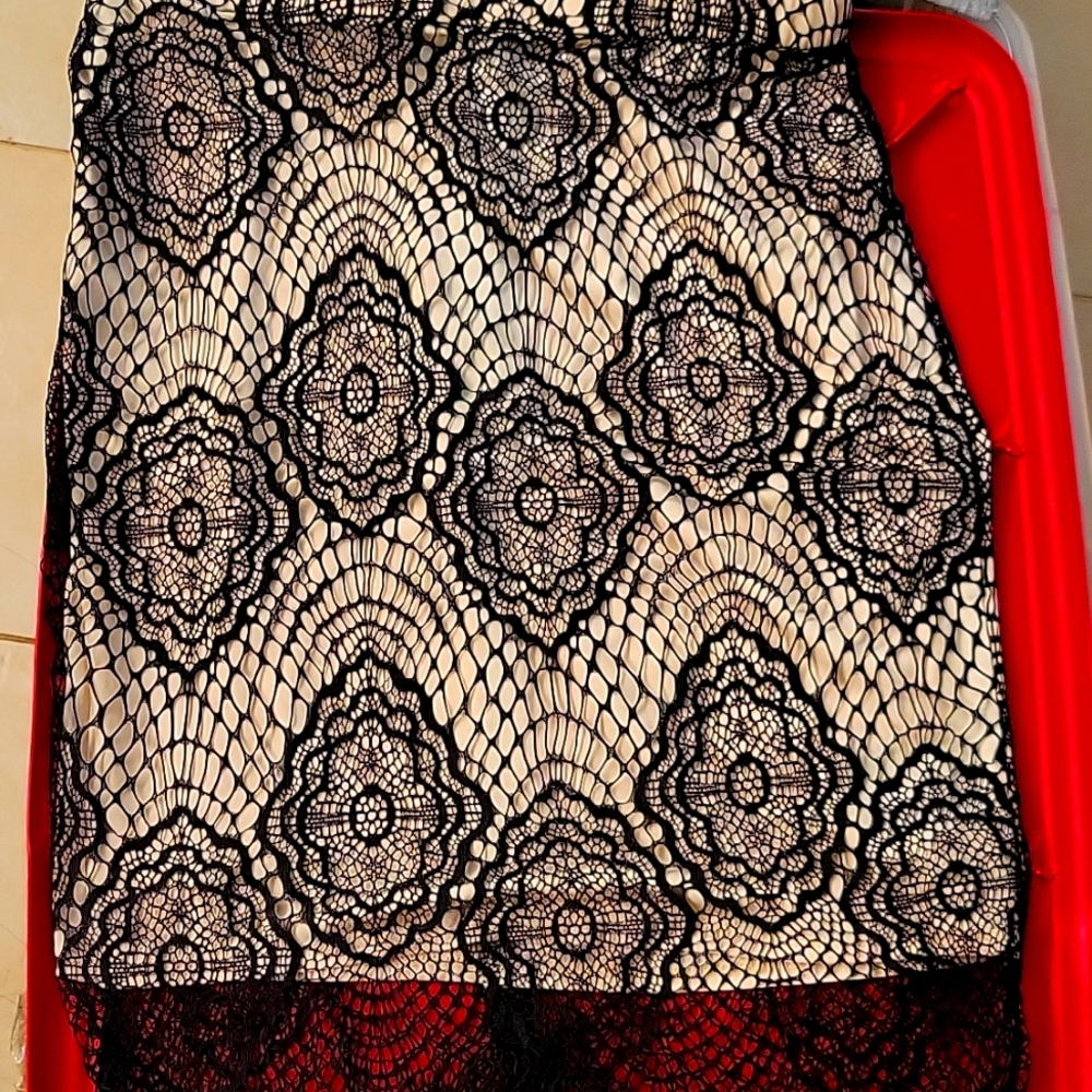 Nwt bebe skirt